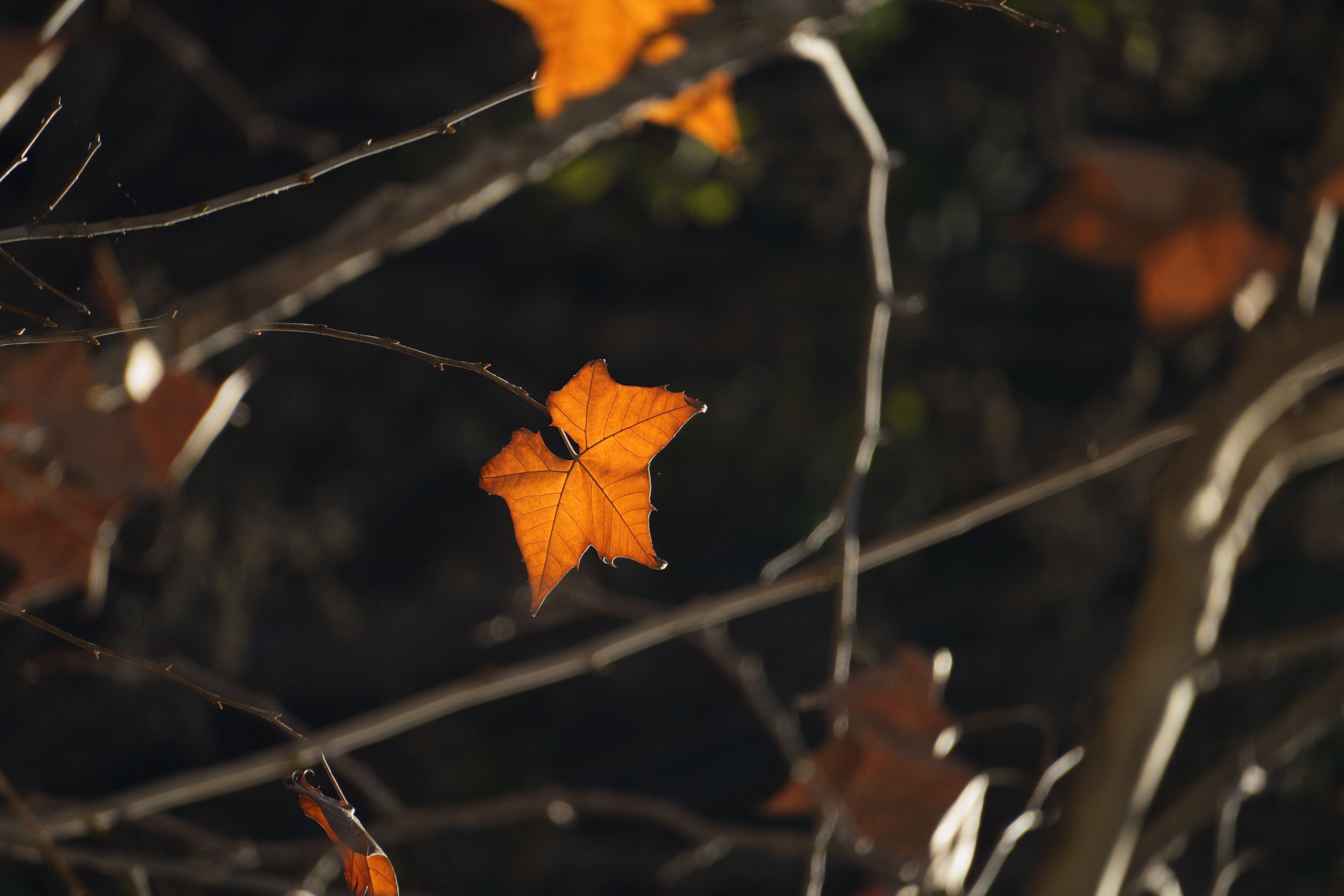 Featured Image